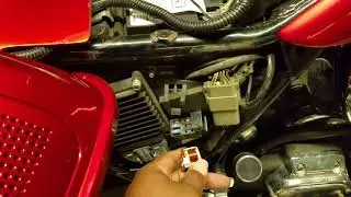Harley fuel pump not working 06 Electra glide