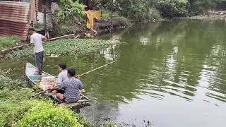 Bắt Cá Lóc Và Cá Rô Phi Lớn Anh Em Ơi