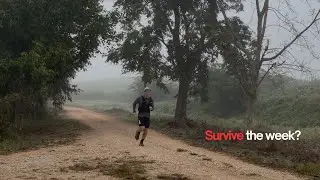 47km Long Run After Double Threshold &mdash; Lessons Learned