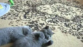 DSCN6935