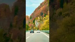 Alpine Autumn Journey: A Road of Golden Colors| Swiss Alps