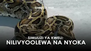 SIMULIZI YA KWELI YA NILIVYOOLEWA NA NYOKA BY FELIX MWENDA.