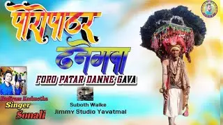 Foro Patar Danne Gavate फोरे पाठर दानेगवा new gondi song 2024 #newgondisong #newdandarisong Punaguda