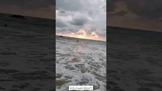 Induruwa Beach, Bentota | බෙන්තොට 🏖️🌊 #shorts #ytshorts #subscribe
