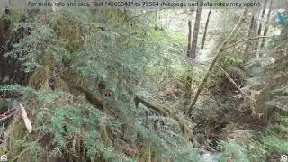 Priced at $15,000 - 10286 RIDGE VIEW TER, Birkenfeld, OR, OR 97016
