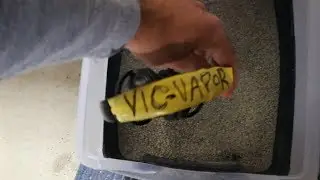 Another Brilliant Idea!!!