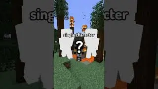 The Rarest Minecraft Account