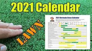 bermuda lawn guide