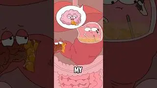 The shocking truth about stomach explosions#animation #funny #shorts #health #trending