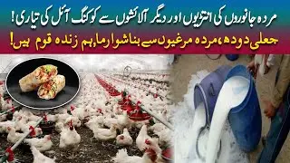 Dead Chickens in Shawarma? The Truth About Fake Food Business