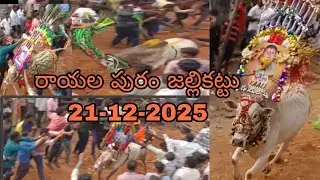 RayalaPuram jallikattu  21-12-2025 