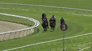 Heat 13   Doomben Jumpouts 3012