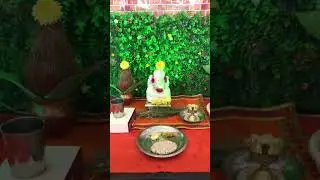 #ganeshchaturthi #ganpati #ganpatibappamorya #omani #muscat #reelsvideo #family #india #bappa