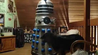 Dalek vs Dog