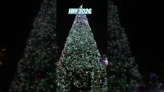 #HNY2026 🌲💗🌲💗🌲💗🌲💗🌲💗🌲💗🌲💗🌲💗🌲💗🌲