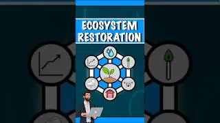 Can Nature Heal Itself? The Magic of Ecosystem Restoration Unfold 🌱✨ #sustainability #farming #sdgs