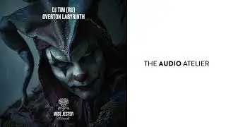 DJ Tim (Ru) - Quarkphasia [Wise Jester Records]