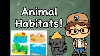 Exploring Animal Habitats with Teacher Trey! Big Kindergarten Book page 265.