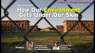 How Our Environment Gets Under Our Skin