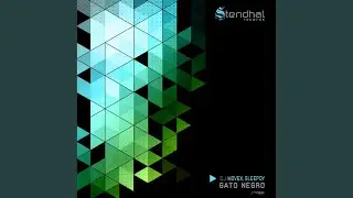 Gato Negro (Original Mix)