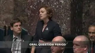 MLA Michelle Mungall questions minister of MCFD about mishandling of child placement case