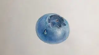 Colored pencil tutorial ｜Draw blueberry in Colored pencil 彩铅画蓝莓