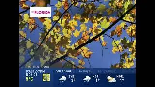 The Weather Network - Local Forecast - November 9, 2020