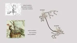 Homo erectus, First Human species
