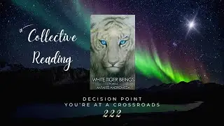 🔮 Decision At A Crossroads💫 222 🌀Portal To Your Next Best Level 💫 Timeless Tarot Reading