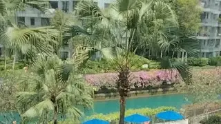 Silent live pool view