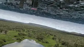 Seed Reel Mid 2019