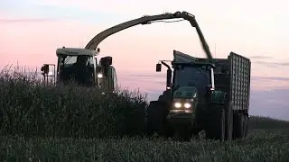 Maize Silage | KRONE BIGX 600 | John Deere Tractors | Mais Hakselen