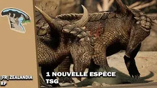 NOUVEAU PENSIONNAIRE : Desmatosuchus