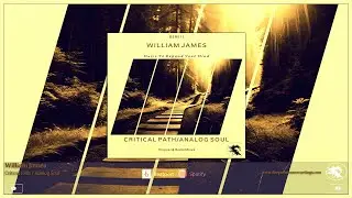 DSR511 William James - Critical Path &bull; Deepsessions Recordings