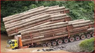 Amazing Dangerous Logging Wood Truck Heavy Equipment Overloading Truck Operator Skill Driving