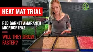 Пробный коврик Microgreen Heat Mat - Красный гранатовый амарант - On The Grow - OTG