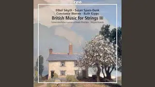 Suite in B Minor for String Orchestra: IV. Scherzo. Presto e spicato