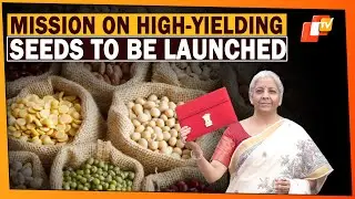 Union Budget 2025: FM Announces National Mission On High-Yielding Seeds