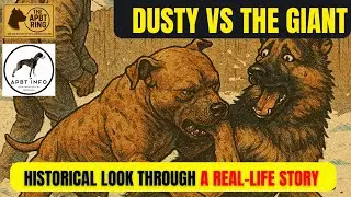 APBT Dusty vs The Giant | Understanding the APBT Gamedog Mindset