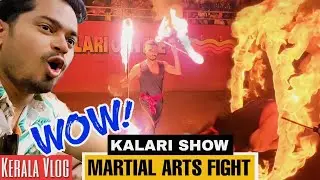 Kerala Kalari Show - Martial Arts Traditional Fight | Thekkady Vlog