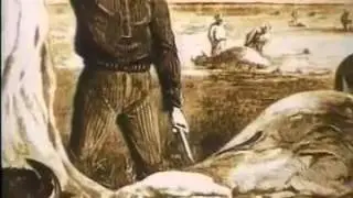 The Biodiversity Story