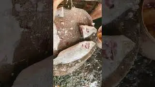 Fresh River Coral Fish Cutting from BD Market Live #fishcutting_skills #fishcuting