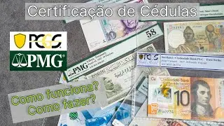 Certifica&ccedil;&atilde;o de C&eacute;dulas. Explicando como funciona o processo da PMG