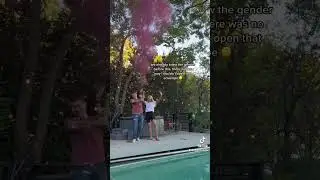 It&rsquo;s&hellip; A&hellip; #genderreveal #ivf #pregnancy