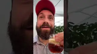 Дегустация при Hills Brewery