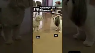 MP3 Sound Effect 33 - Adorable Couple Argument- Funny #sounds #funny #funnydogs #tiktokviral