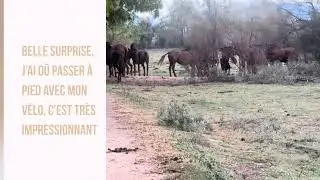 Balade facile sur chemin de L&rsquo;escala &agrave; Rose, 30 km