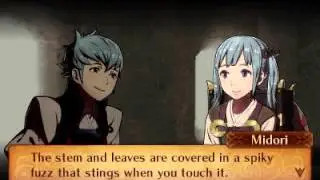 Fire Emblem Fates: Revelation - Kiragi and Midori Support Love Story