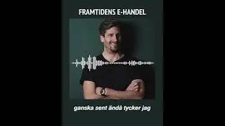 Gustaf Ollas p&aring; ICANIWILL i podcasten Framtidens E-handel