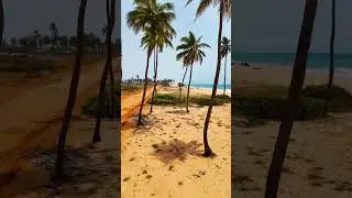 Beninese paradise 🌴🥥🌊